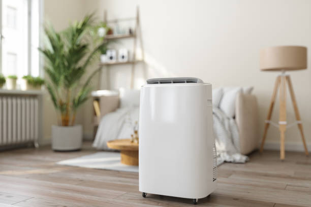 Best Air Filters and Purifiers in Wtmore Village, HI